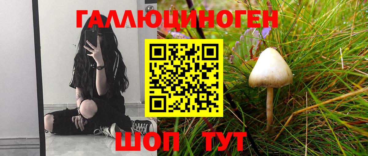 Галлюциногенные грибы Cubensis Нерюнгри