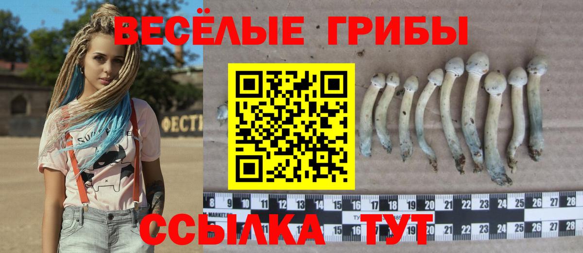 Нерюнгри  Псилоцибиновые грибы мухоморы  Псилоцибиновые грибы Psilocybine cubensis  Вход с VPN 